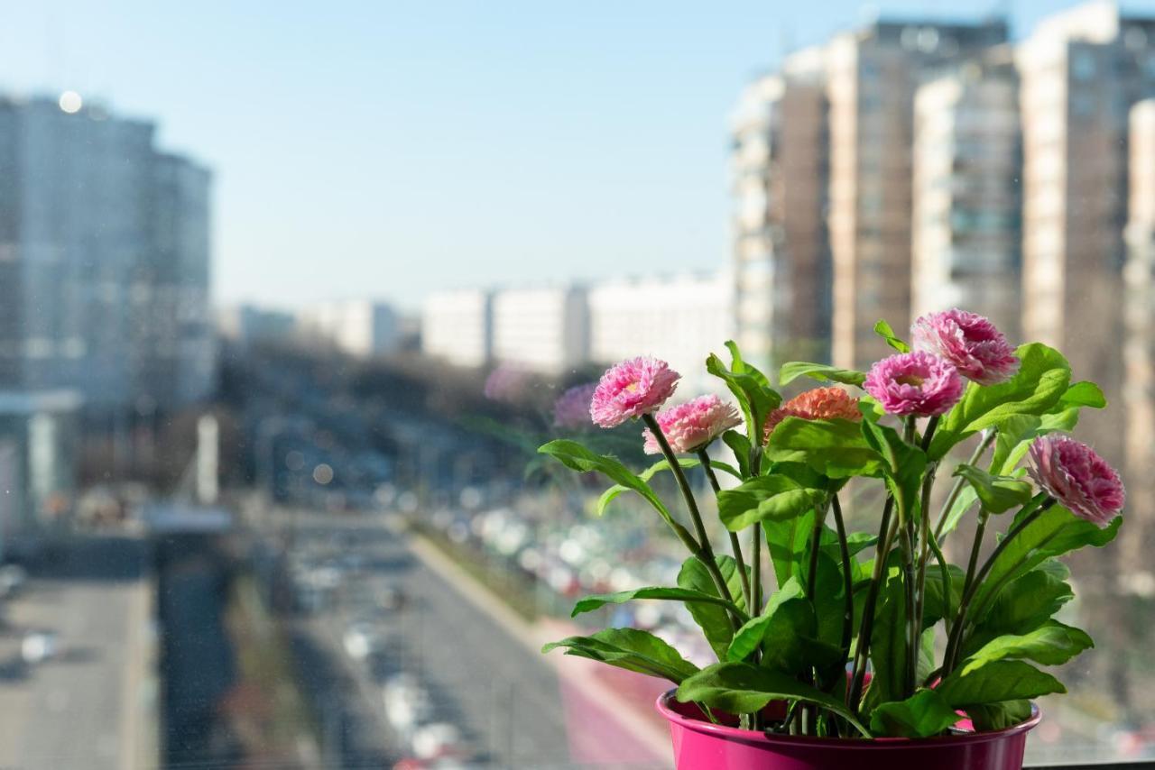 Apartament Lujerului Bucureşti